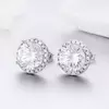 Cercei din argint Round Diamond Look picture - 2