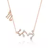 Colier din argint cu Constelatia Scorpion rose gold picture - 1