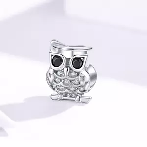 Talisman din argint Beautiful Owl