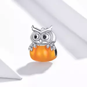Talisman din argint Pumpkin Owl