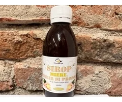NATURAL HONEY SYRUP WITH GINGER AND PROPOLIS 200 ML