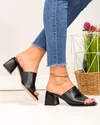 Papuci dama piele naturala negri cu toc gros si inchidere slip-on TN6506 6