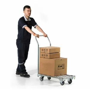 Carucior Cargo Depozit Metal Mini 100 Kg.