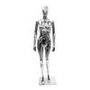 Manechin argintiu premium dama BF-6 picture - 1