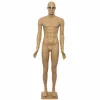 Manechin plastic barbat MP-17 picture - 1