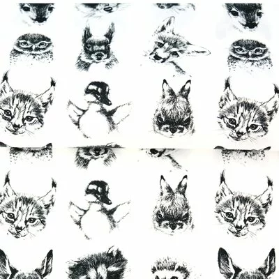Printed Cotton poplin - Funky Animals- cupon 95 cm
