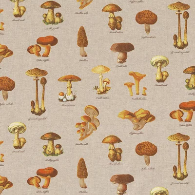 Material Canvas - Culinair Mushroom