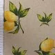 Material Canvas - Lemons