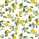 Poplin - Lemon Blossom Ivory