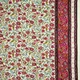 Vascoza Imprimata - Radiance Border Ivory
