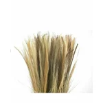 Buchet plante uscate, Fibra naturala, Maro, Dryed