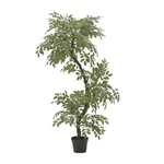 Ficus artificial, Plastic, Verde, Nora