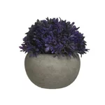Floare artificiala in ghiveci, Plastic, Mov, Penny