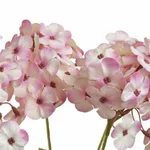 Floare artificiala, Plastic, Roz, Kennice