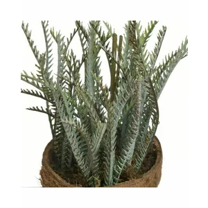 Planta artificiala in ghiveci, Verde, Moza