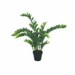 Planta artificiala, Plastic, Verde, Zamioculcas