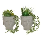 Set 2 ghivece cu plante suculente, Plastic, Verde, Buddha Face