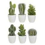 Set 6 plante artificiale in ghivechi, Plastic, Alb, Cactus Deco
