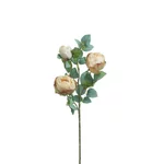 Trandafiri artificiali, Plastic, Crem, Roses