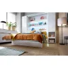 Lenart BED CONCEPT - Ansamblu Pat rabatabil de perete vertical cu mecanism pneumatic 180x200 si 2 dulapuri picture - 6