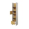 Raft Pentru Carti si Decoratiuni TEEN FLEX TF02,44x40x218 h cm,  Silk Flou/Stejar Hikory picture - 2