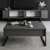 Set Mobilier Living Luxe, 2 piese, 180x30x50 cm - Antracit/Negru picture - 2