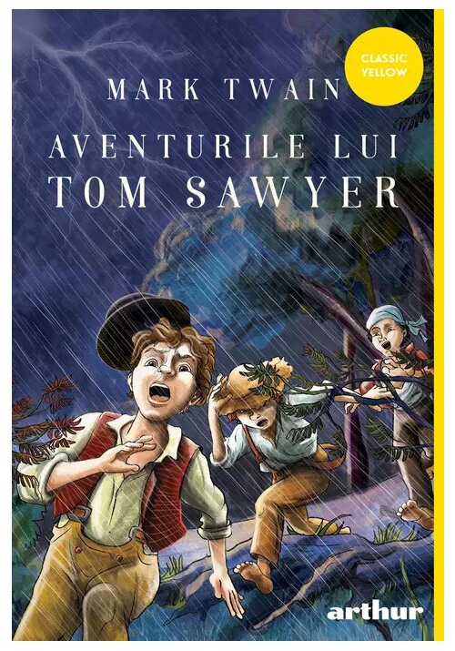 Vezi detalii pentru Aventurile lui Tom Sawyer