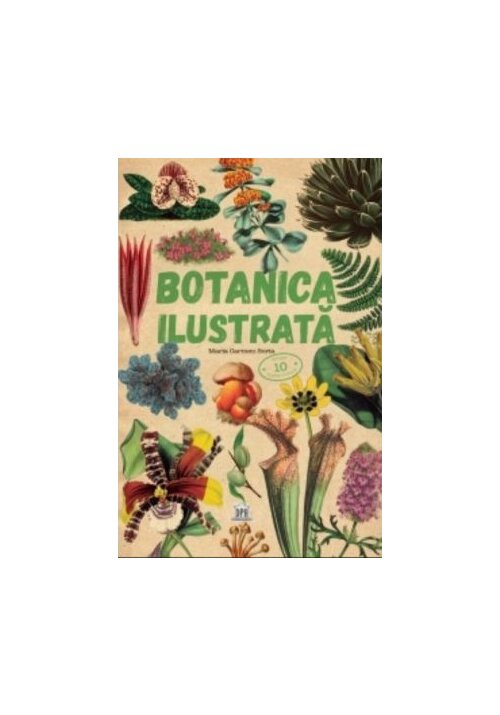 Botanica ilustrata