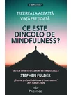 Ce este dincolo de Mindfulness?