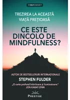 Ce este dincolo de Mindfulness?