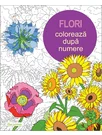 Coloreaza dupa numere - Flori