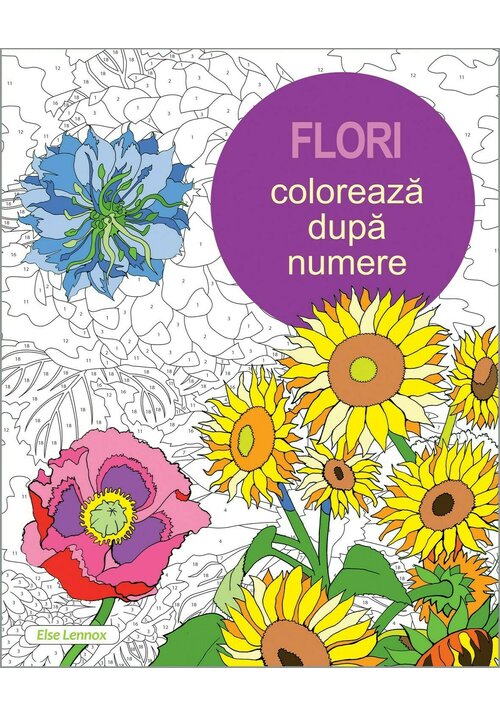 Coloreaza dupa numere – Flori Didactica Publishing House