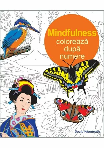 Coloreaza dupa numere - Mindfulness