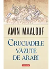 Cruciadele vazute de arabi