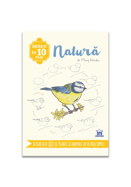 Desen in 10 pasi. Natura