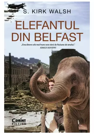 Elefantul din Belfast