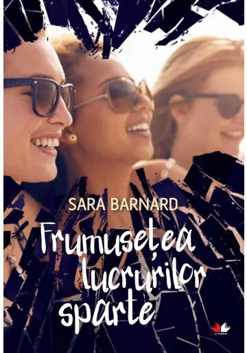 Frumusetea lucrurilor sparte