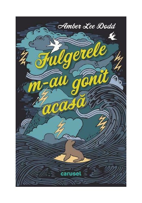 Fulgerele m-au gonit acasa