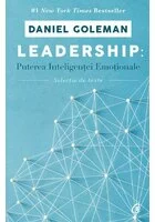 Leadership: puterea inteligentei emotionale