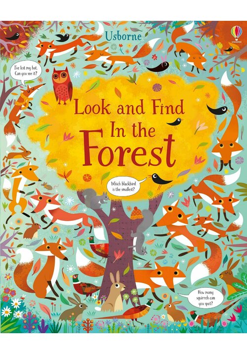 Look And Find In The Forest image