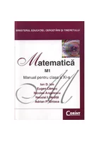 Manual pentru clasa a XI-a - Matematica M1