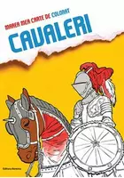 Marea mea carte de colorat - Cavaleri