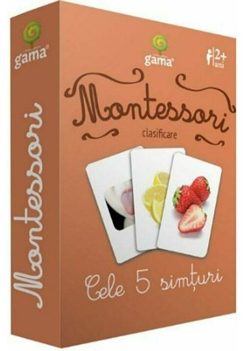 Montessori. Clasificare. Cele 5 simturi