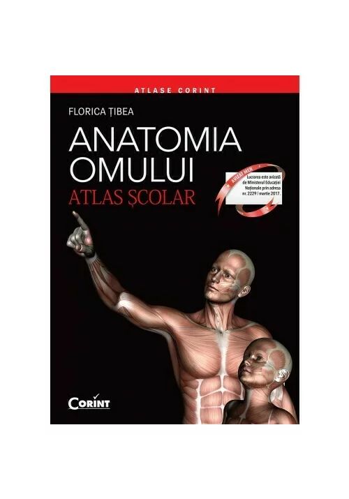 Corint Anatomia omului. Atlas scolar