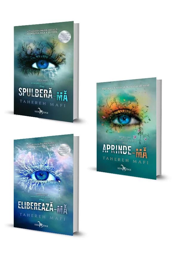 Aceasta este imaginea corespunzatoare acestui obiect