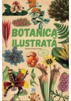 Botanica ilustrata