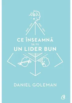 Ce inseamna sa fii un lider bun