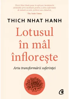 Lotusul in mal infloreste