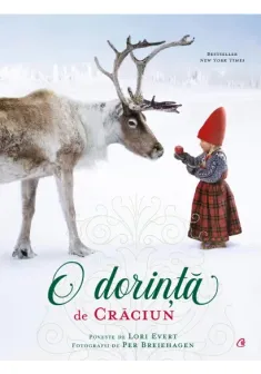 O dorinta de Craciun