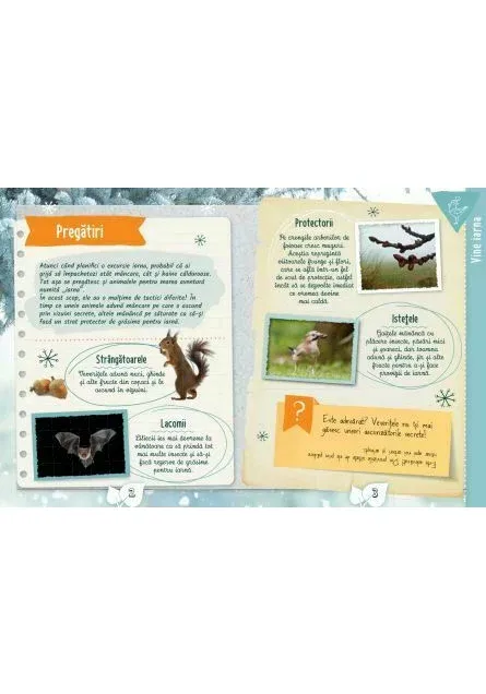 Cartea micului biolog: Iarna picture - 3